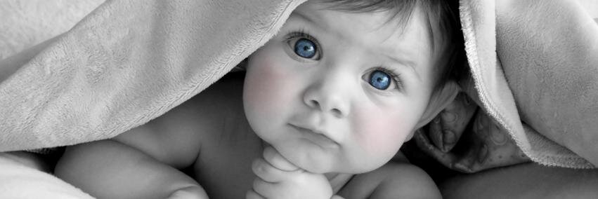 Babystock banner