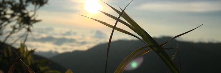 Iam_Rbbt's profile banner image