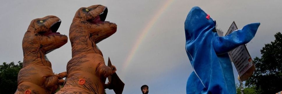 ProgressShark's profile banner image