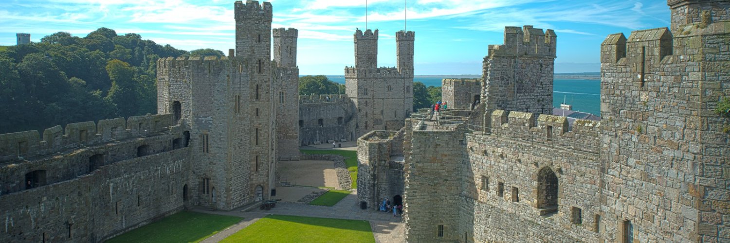 WelshDragon's banner