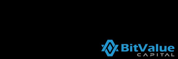 BitValueCapital Profile Banner