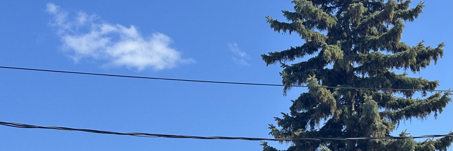 Dapper's banner