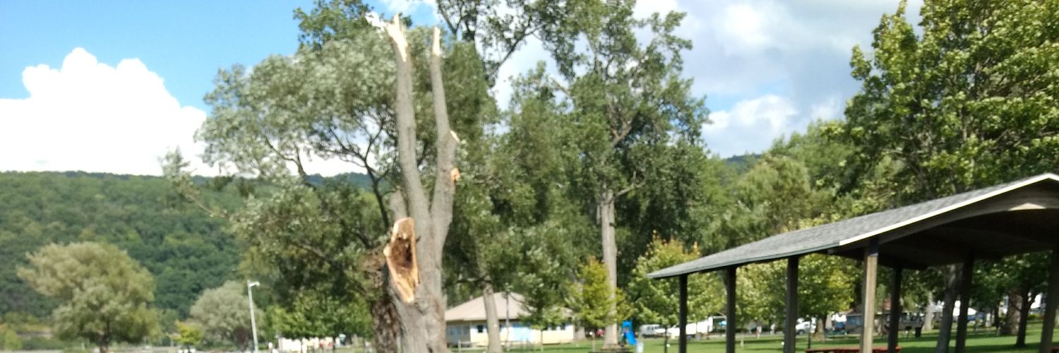 LiElysha's profile banner image