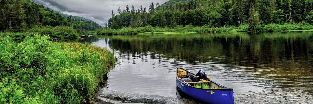 Dr Danielle Su 🇸🇬 banner