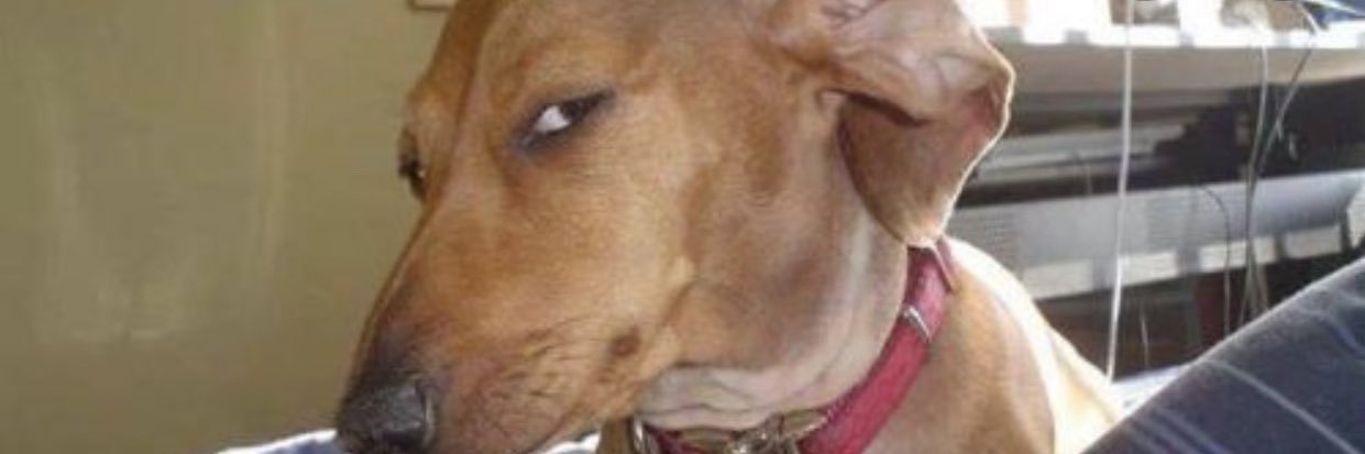 floydgordon5's profile banner image