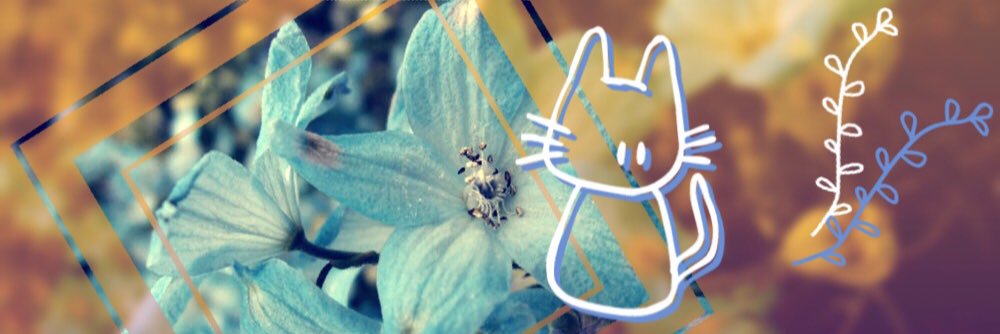 Dellfe_'s profile banner image