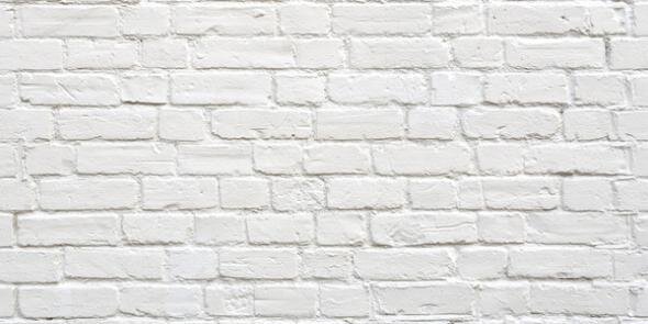 elyshabeckerman's profile banner image