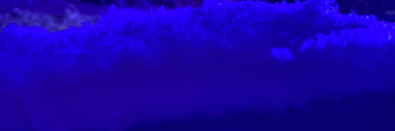 kiralimme's profile banner image