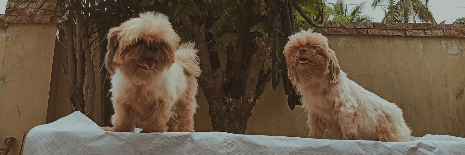 flyingdarla's profile banner image