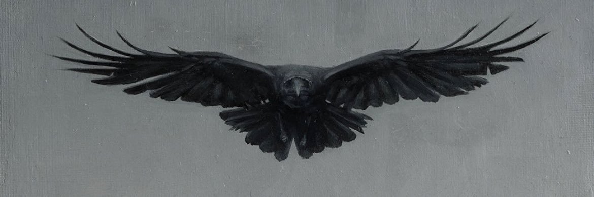 lucien 🐈‍⬛ banner