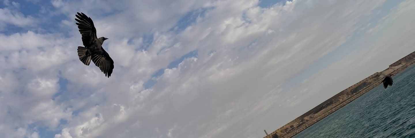 Nada__haggag's profile banner image
