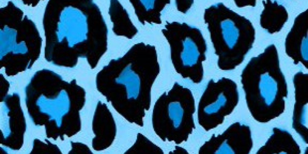 WchrDiva's profile banner image