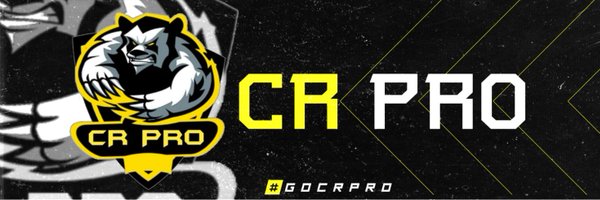 CRPRO17 Profile Banner
