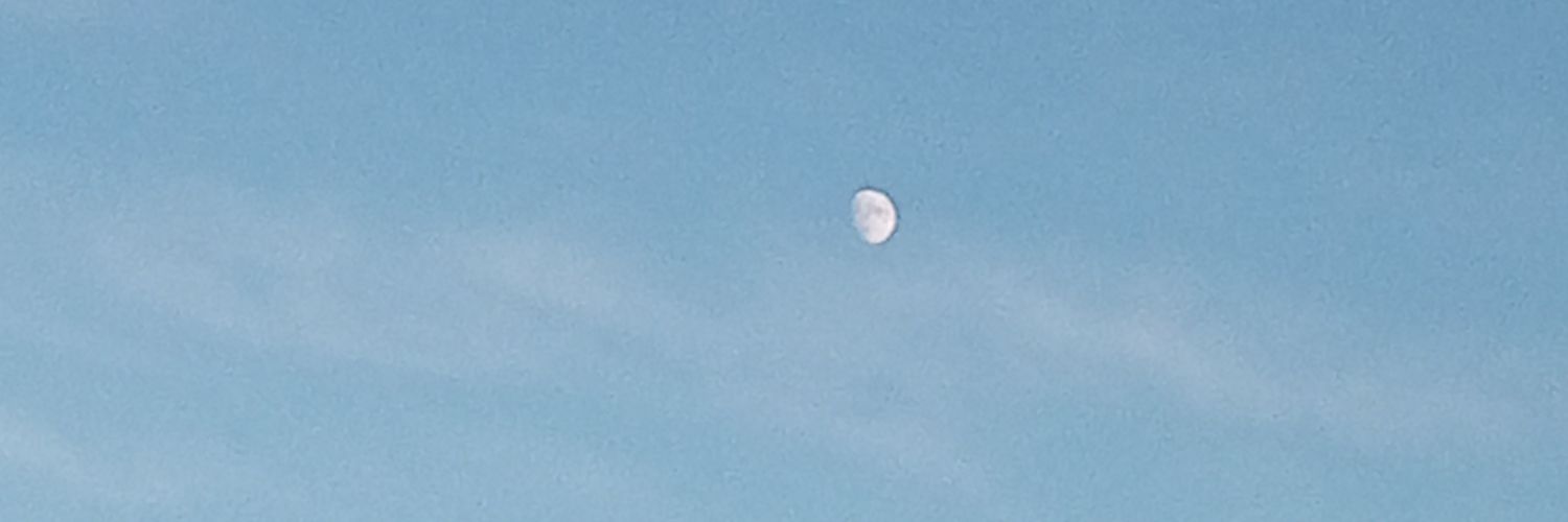 SHANNARA WOODWARD banner