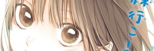 あいす🍨Alice's banner