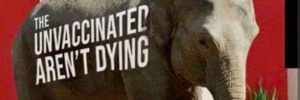 lupash8 Profile Banner