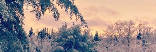 aggieMccormick_'s profile banner image