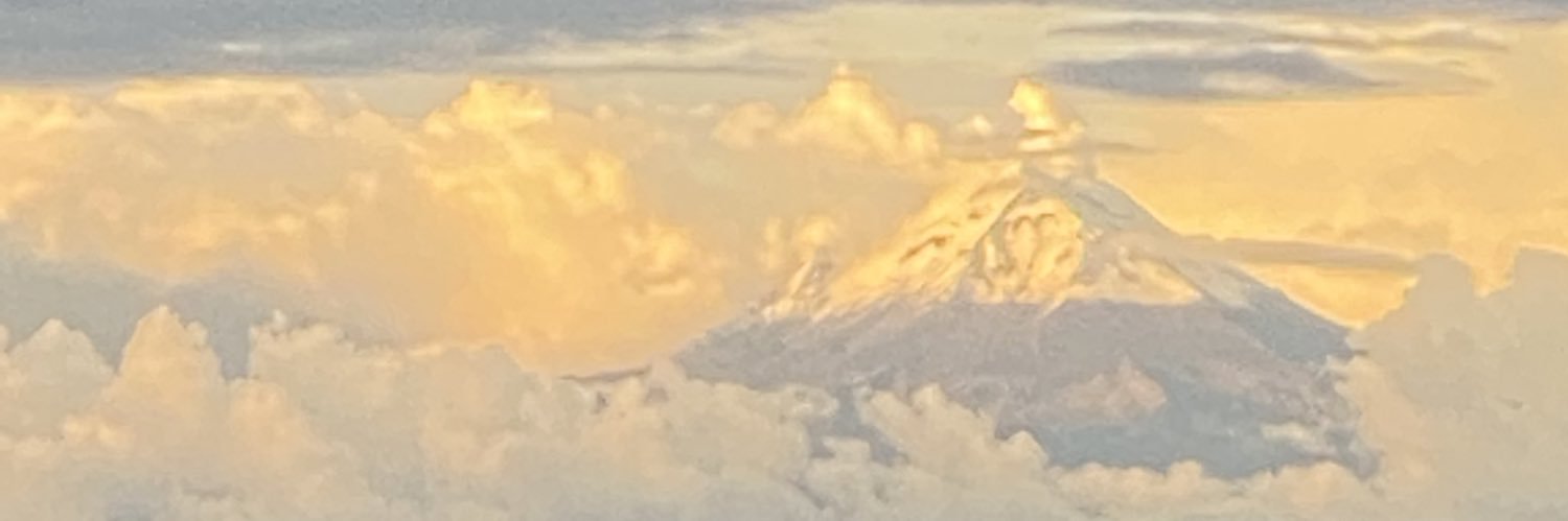 IGNACIO SADA MADERO banner