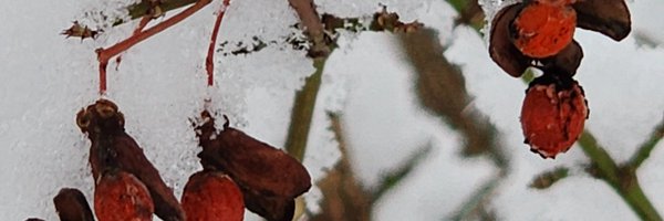 Nerdcake78 Profile Banner