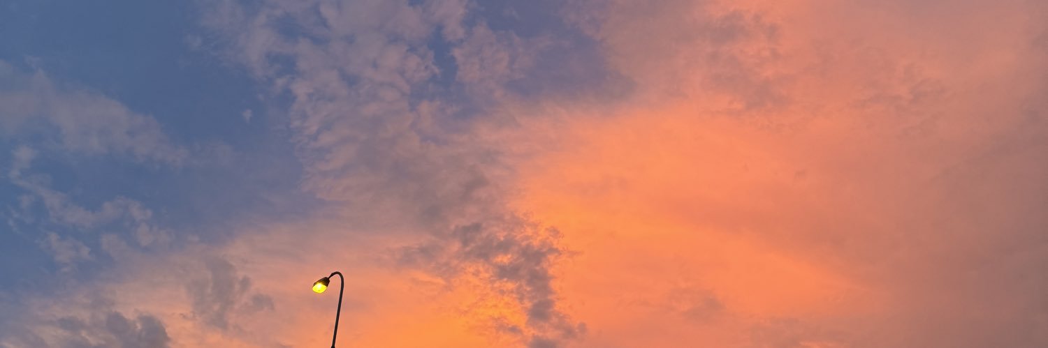 lunar🦊🌙 banner