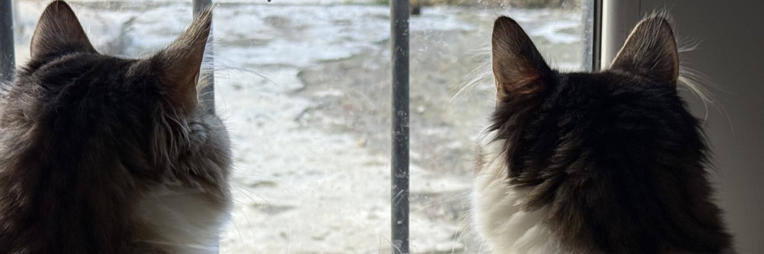 valenchusfernan's profile banner image