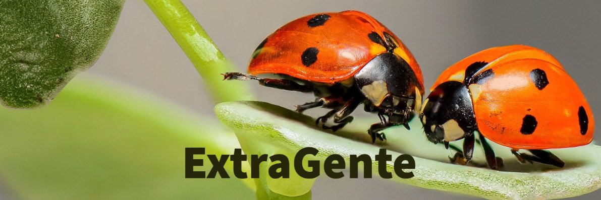 Gente Extraordinaria banner
