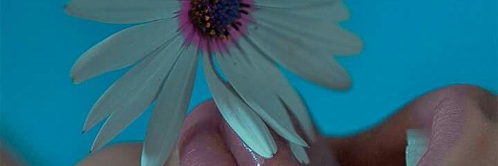 ed00921150's profile banner image