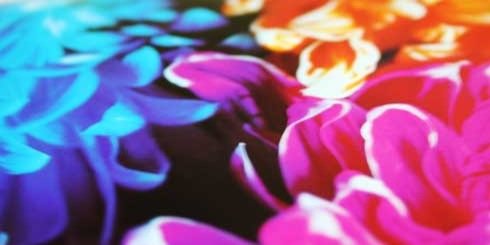 nako_75's profile banner image