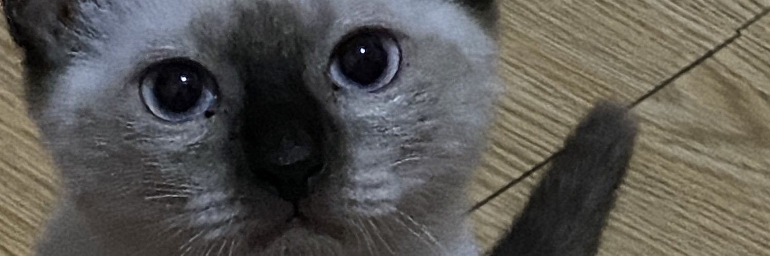 𖦹 ☼ ⋆ vic ｡˚⋆ฺ banner