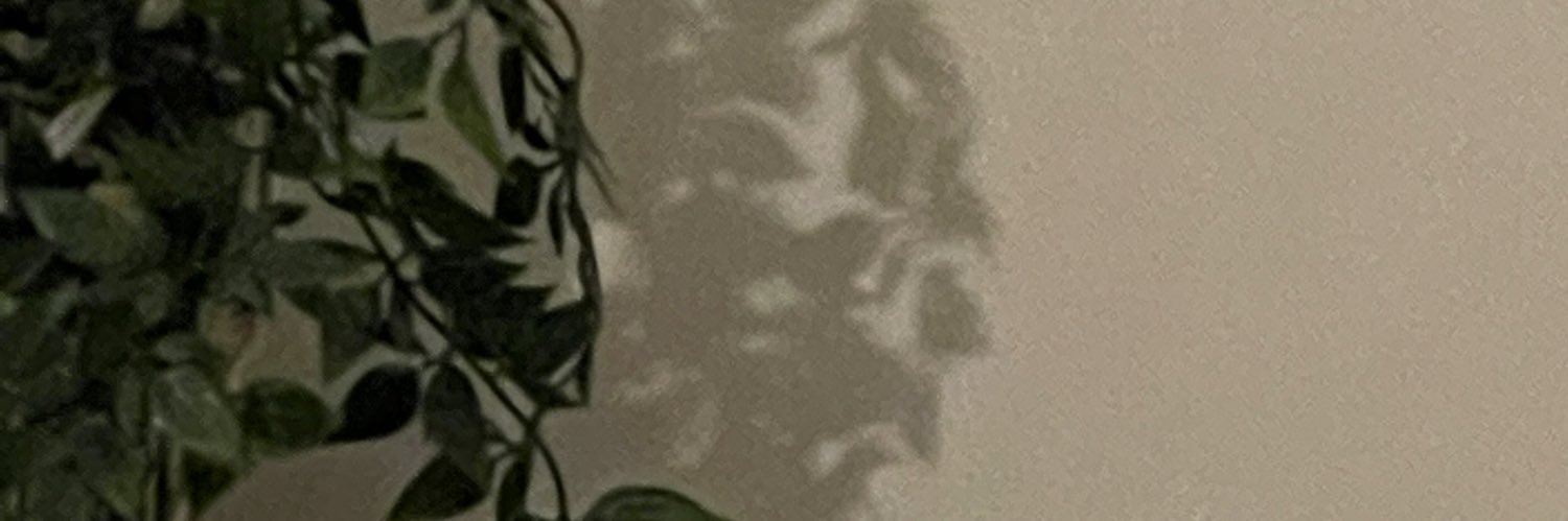 libbyarnold_'s profile banner image