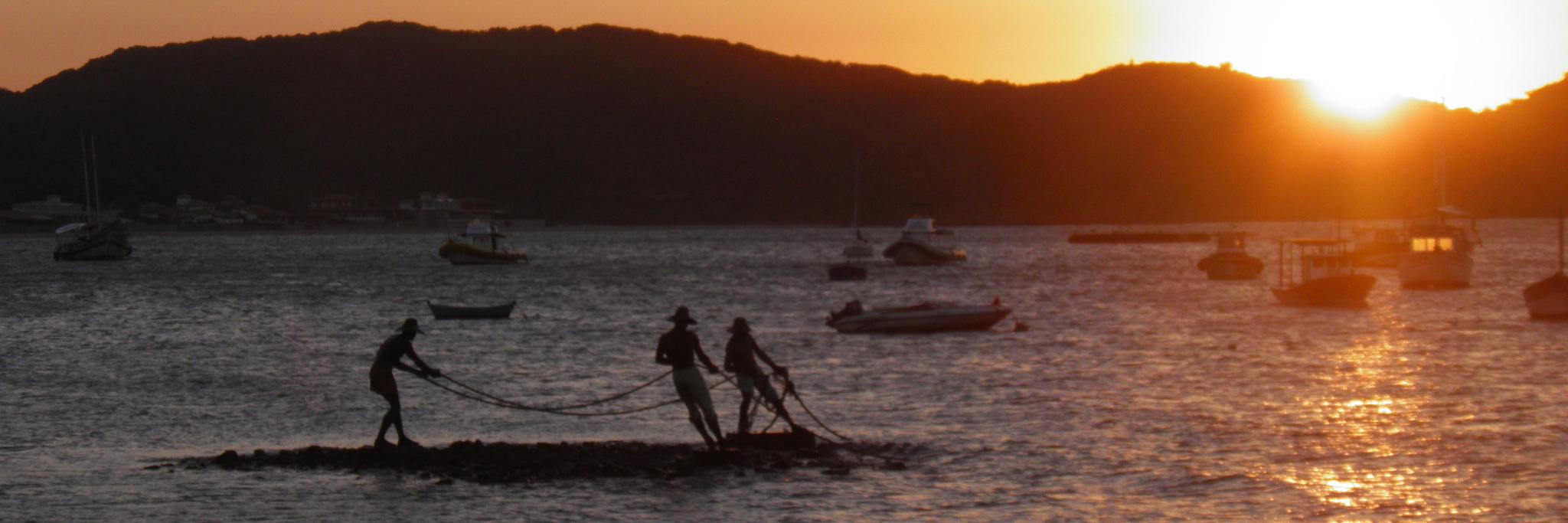 Elisabeth Triay banner