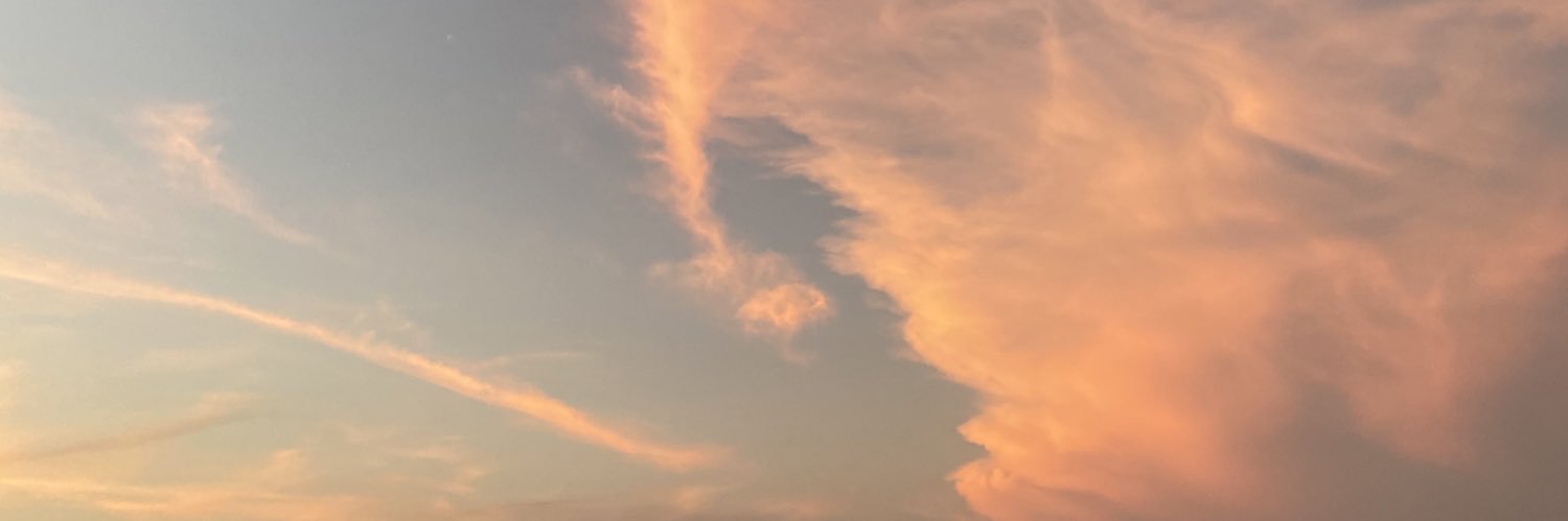 karinacarrasco's profile banner image