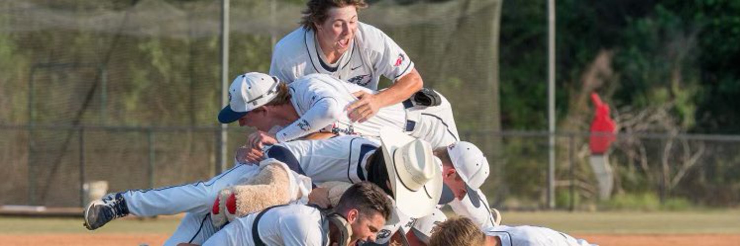 PowdersvilleBaseball Profile Banner