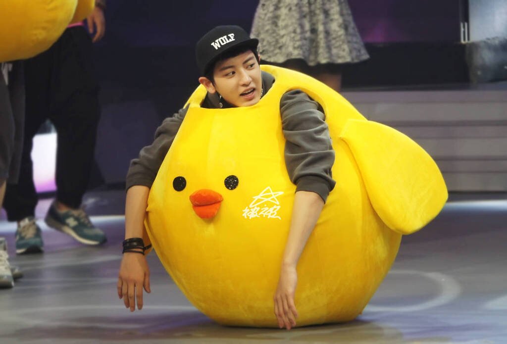 LJS_sz's profile banner image