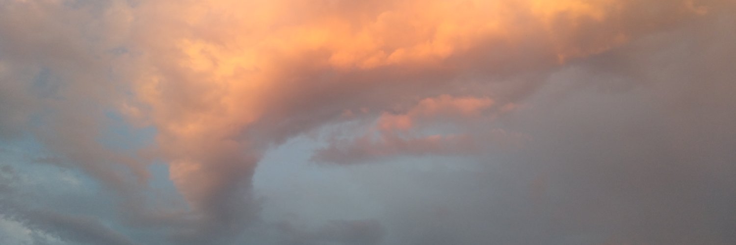 renedet10born's profile banner image