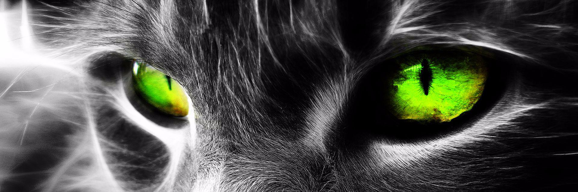 cayda90's profile banner image