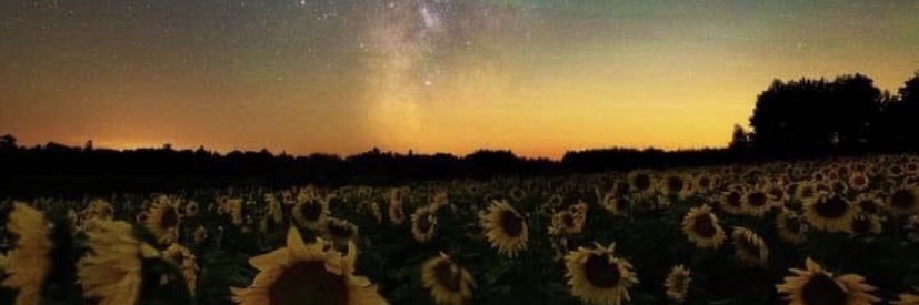 areonna98's profile banner image