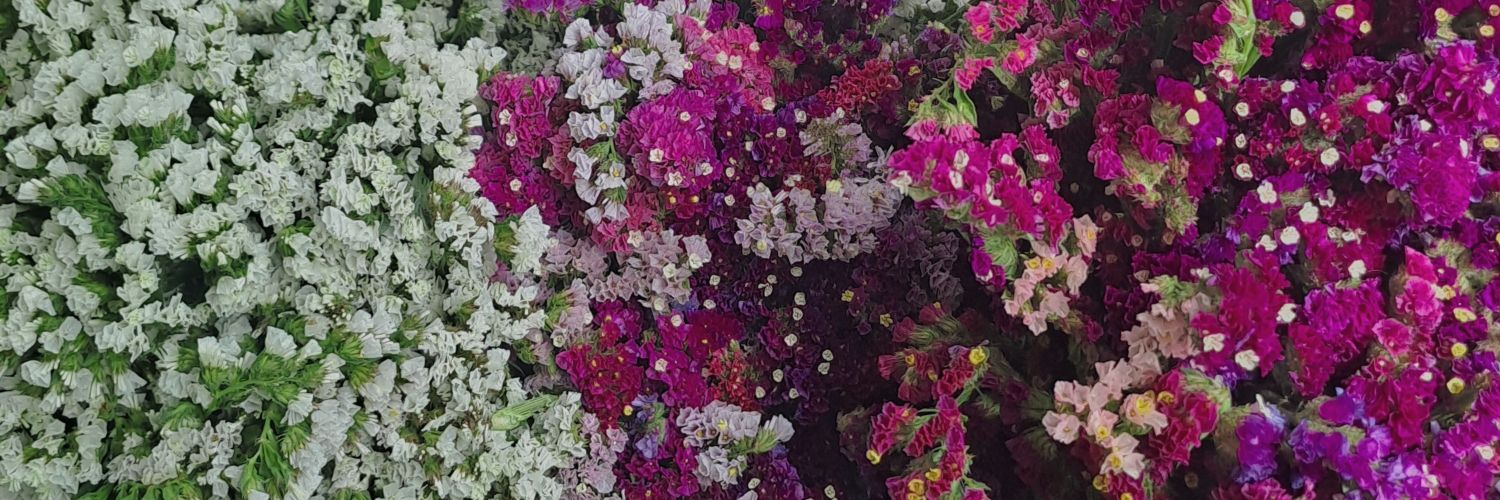 _mdbx's profile banner image