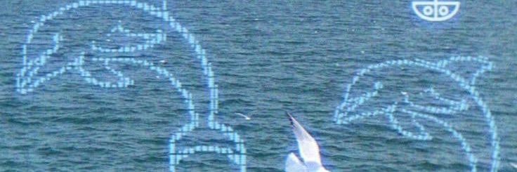 15% banner