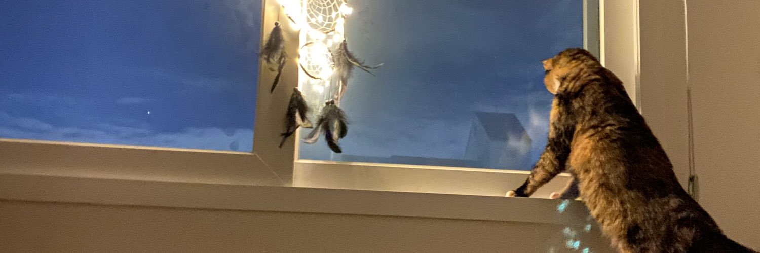 청량겨울몬💎 banner