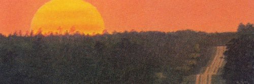 __marcelopez's profile banner image