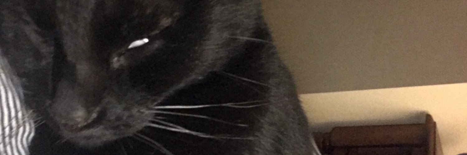 ShmerkenGerken's profile banner image