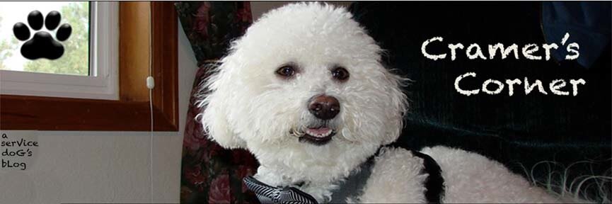 Cramer T. Dog banner