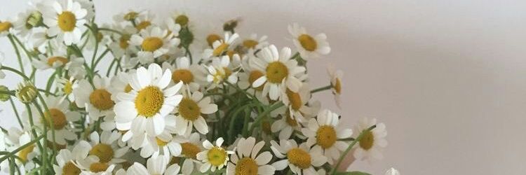 a. banner