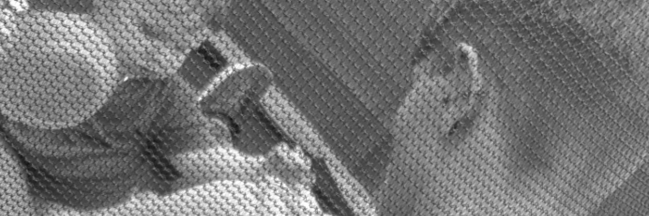 ChaaMorgzz banner
