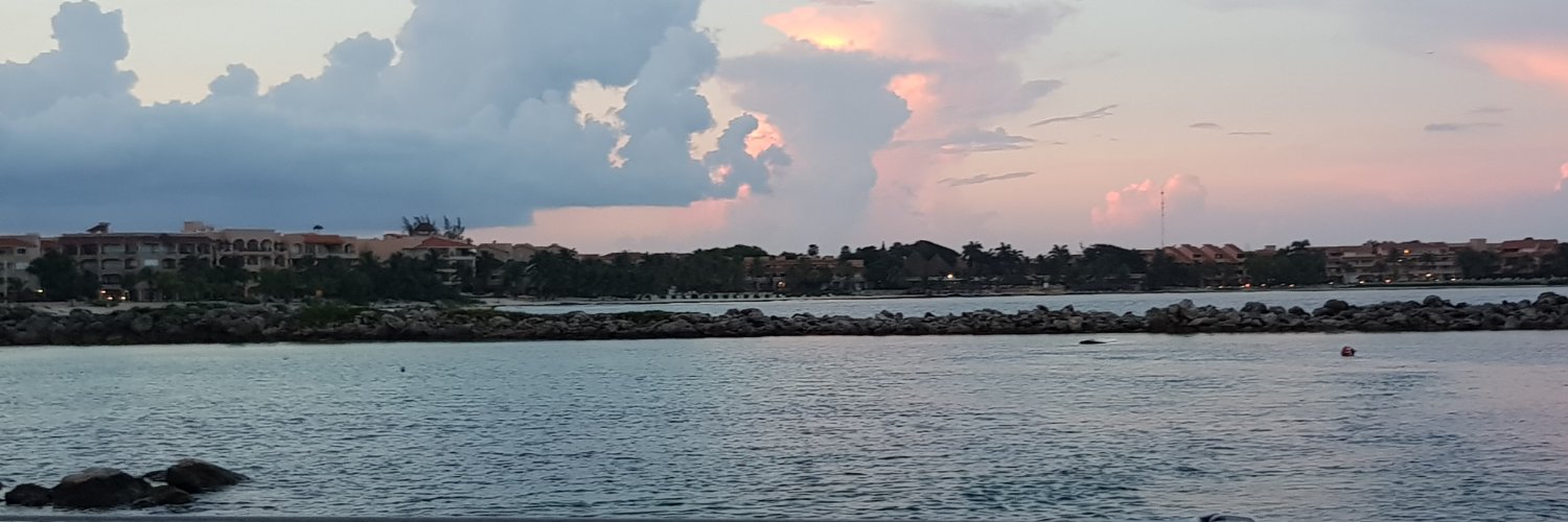 RVigoroso's profile banner image