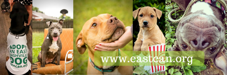 East C.A.N. banner