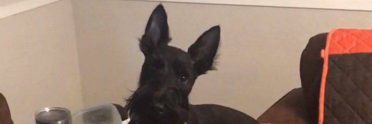 OdumWes's profile banner image