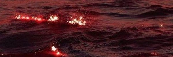 munky_korn Profile Banner