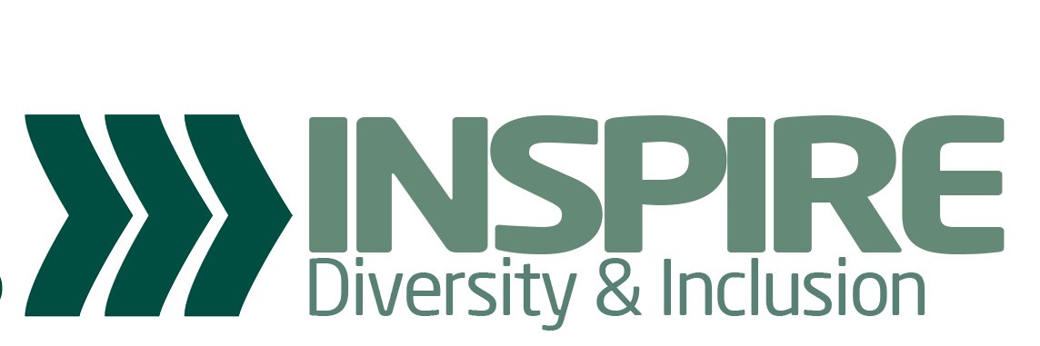 London District Army Cadets INSPIRE banner